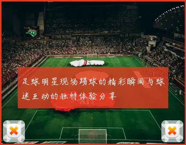 足球明星现场踢球的精彩瞬间与球迷互动的独特体验分享