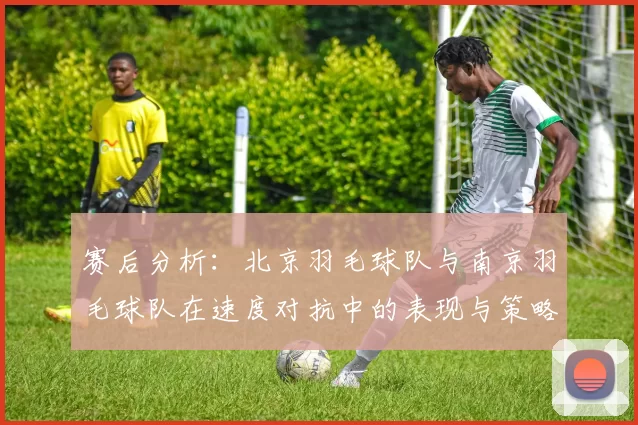 赛后分析：北京羽毛球队与南京羽毛球队在速度对抗中的表现与策略探讨